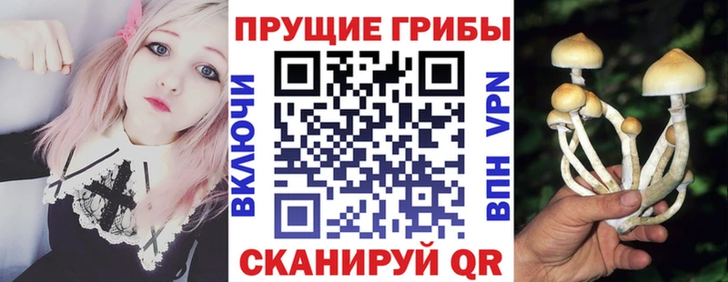 Галлюциногенные грибы мухоморы  Купить закладки  Печоры 